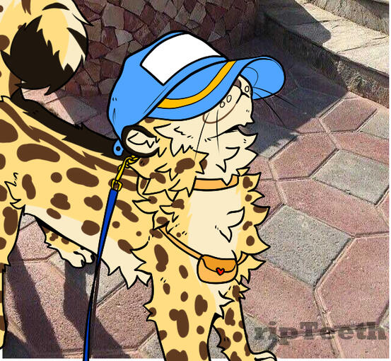 cheetah hat meme 10$