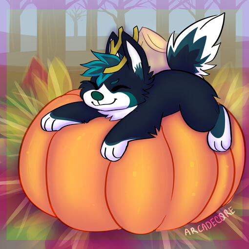 pumpkin ych 7$